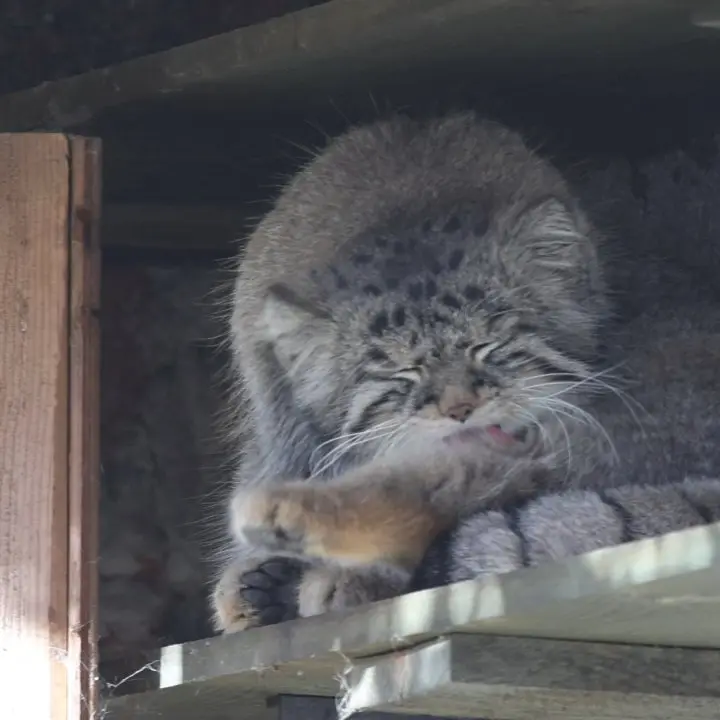 A photograph of Timofey in Moscow zoo