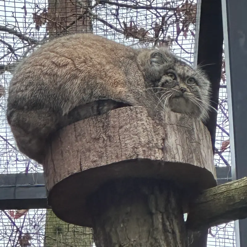 A photograph of Ula in Gdansk Zoo