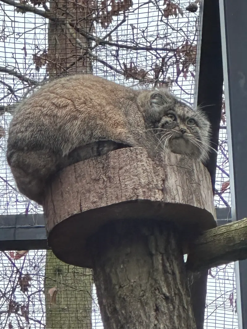 A photograph of Ula in Gdansk Zoo