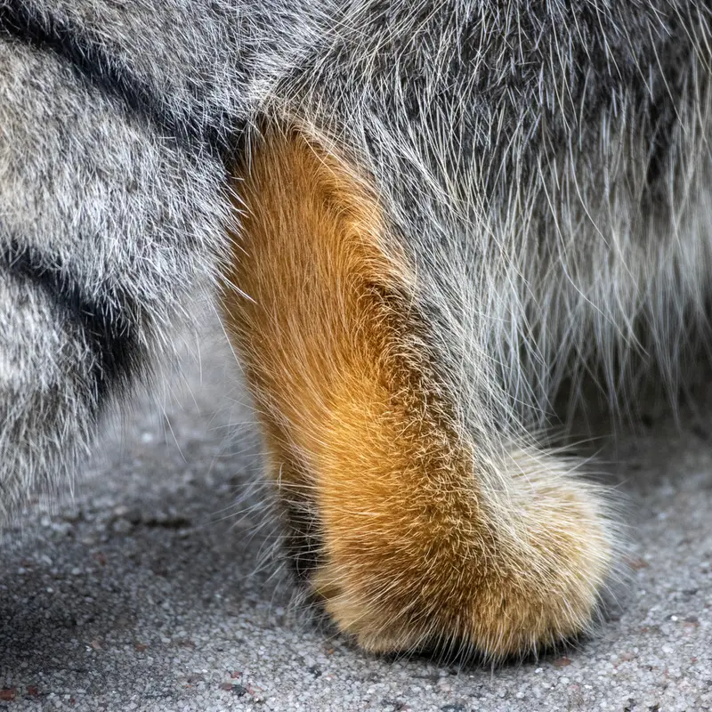A photograph of Timofey in Moscow zoo
