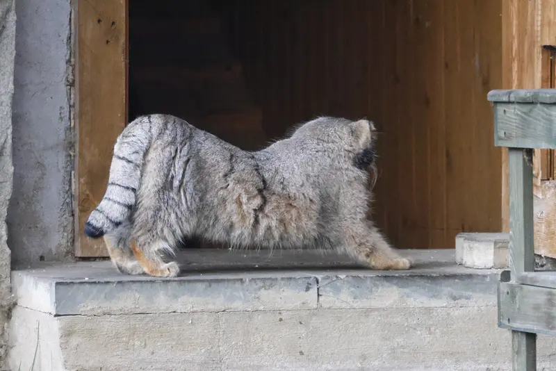 A photograph of Timofey in Moscow zoo