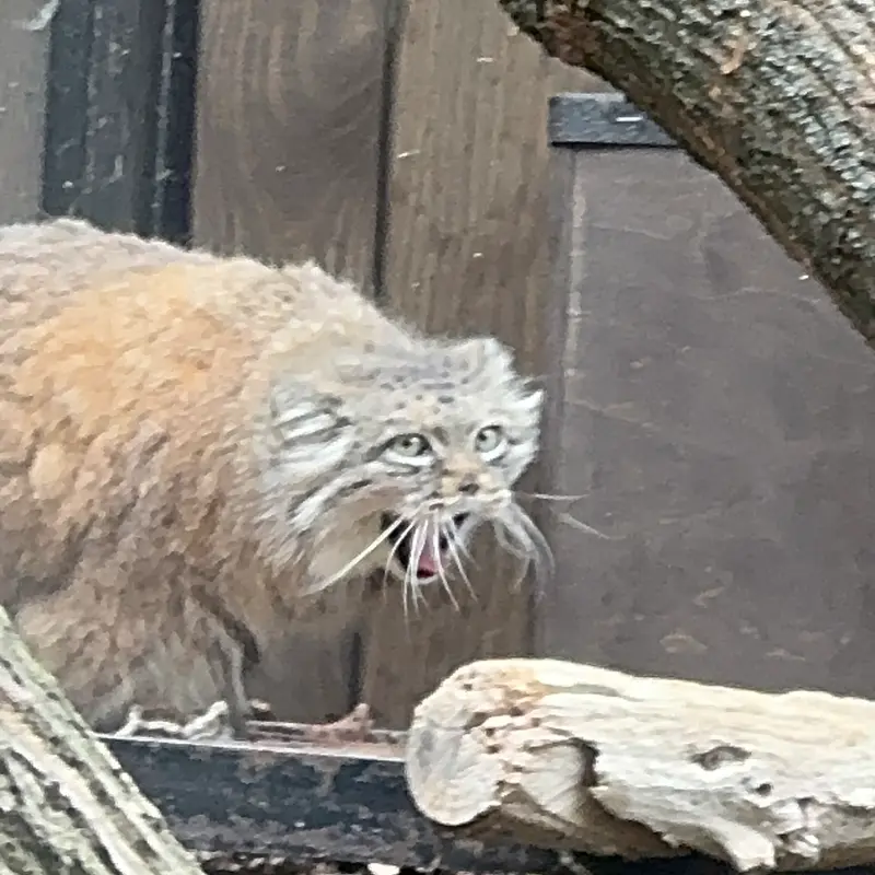 A photograph of Jessie in Warsaw Zoo