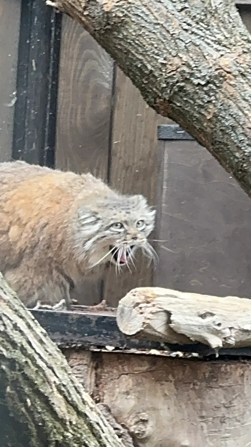 A photograph of Jessie in Warsaw Zoo