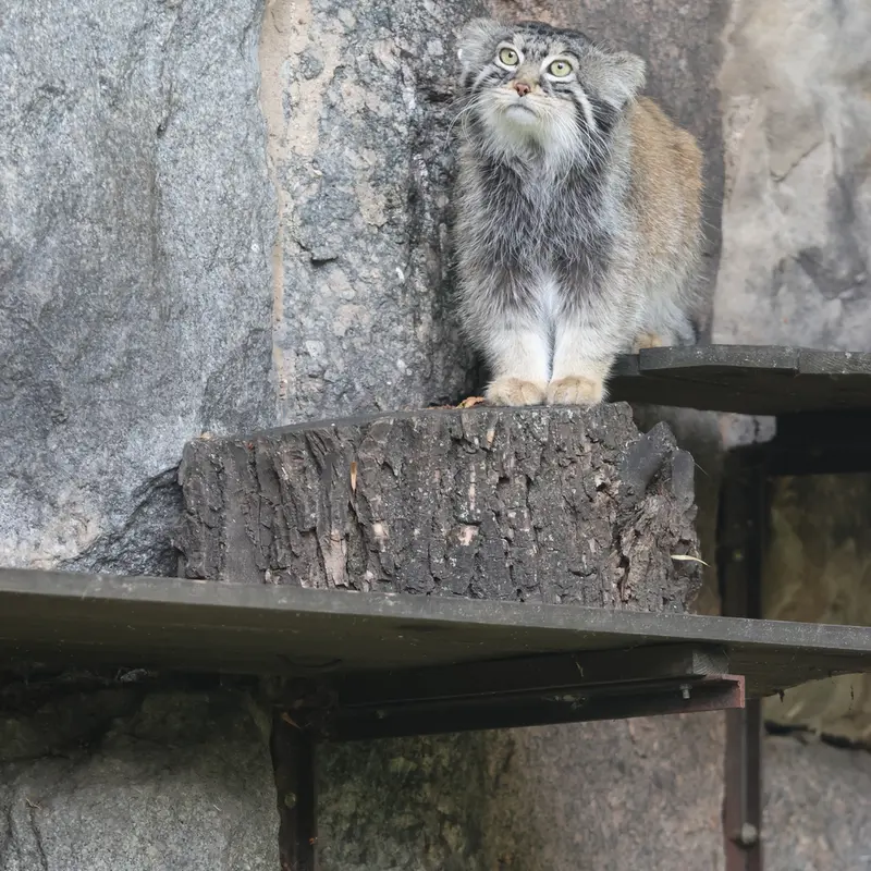 A photograph of Timofey in Moscow zoo