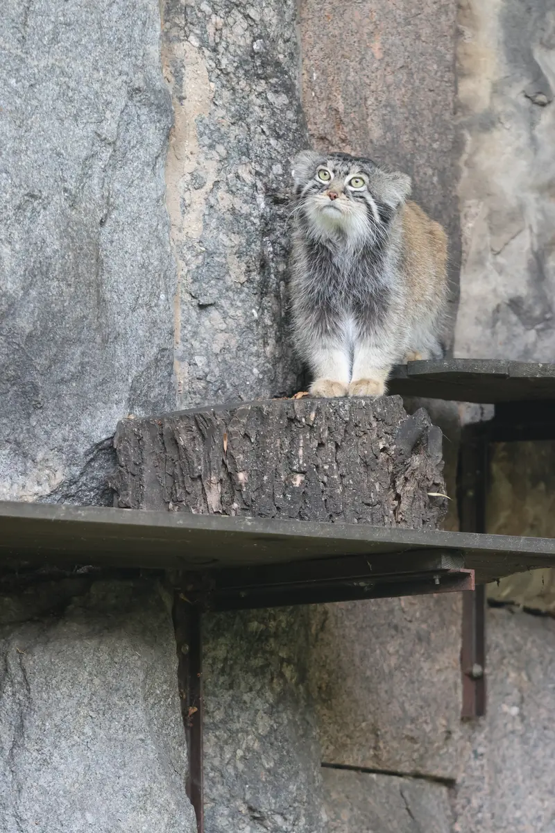 A photograph of Timofey in Moscow zoo