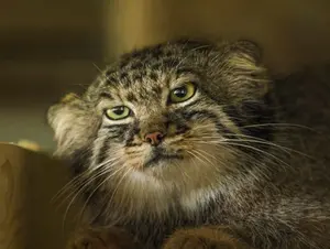 A photograph of Varvara in Moscow zoo