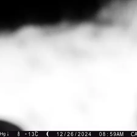 A photograph of Otocolobus manul manul from Zhilandy camera trap