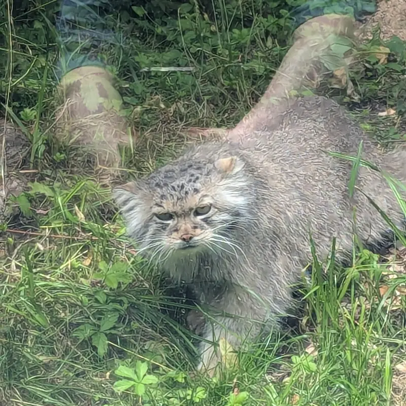 A photograph of Melissa in Lithuanian Zoo