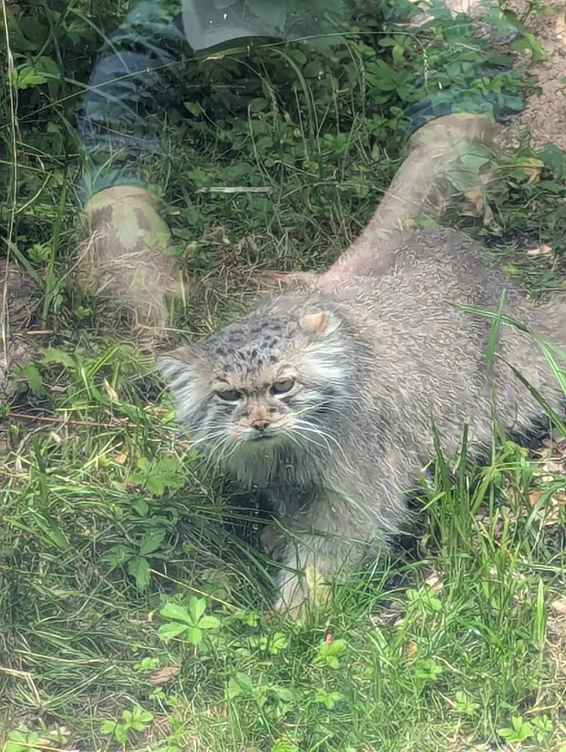 A photograph of Melissa in Lithuanian Zoo