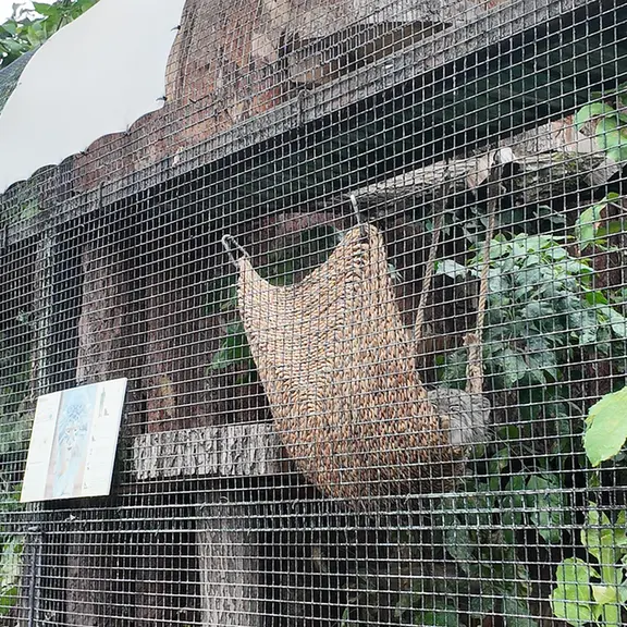 A photograph of Shu in Leningrad zoo