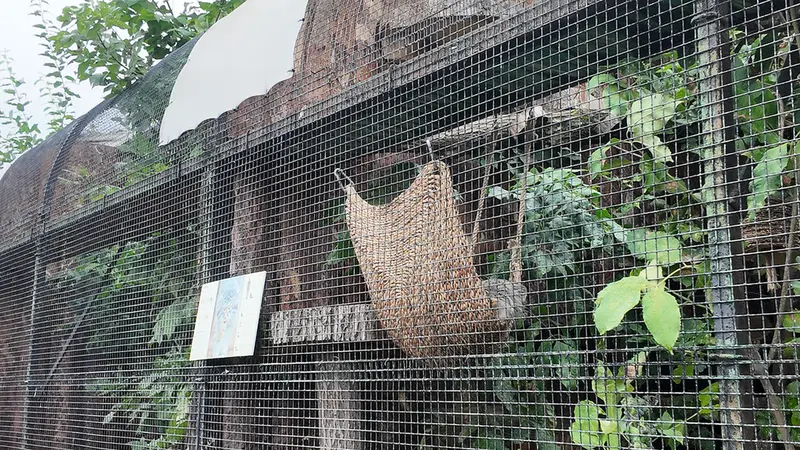 A photograph of Shu in Leningrad zoo