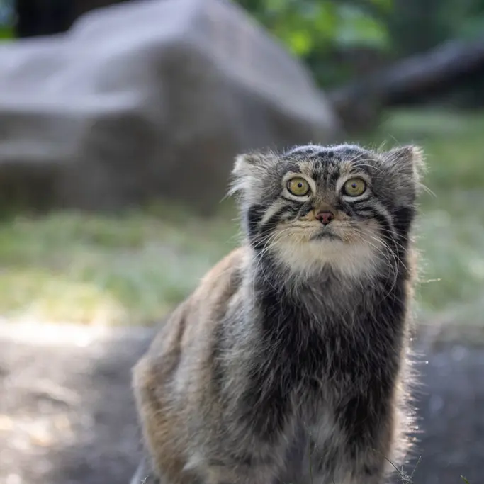 A photograph of Timofey in Moscow zoo