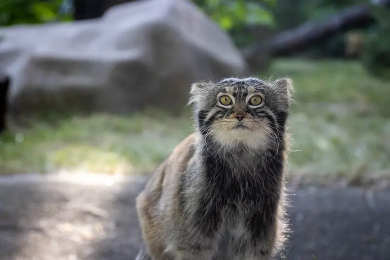 A photograph of Timofey in Moscow zoo