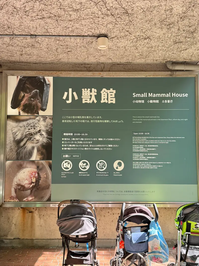 A photograph of Klyon in Ueno Zoological Gardens