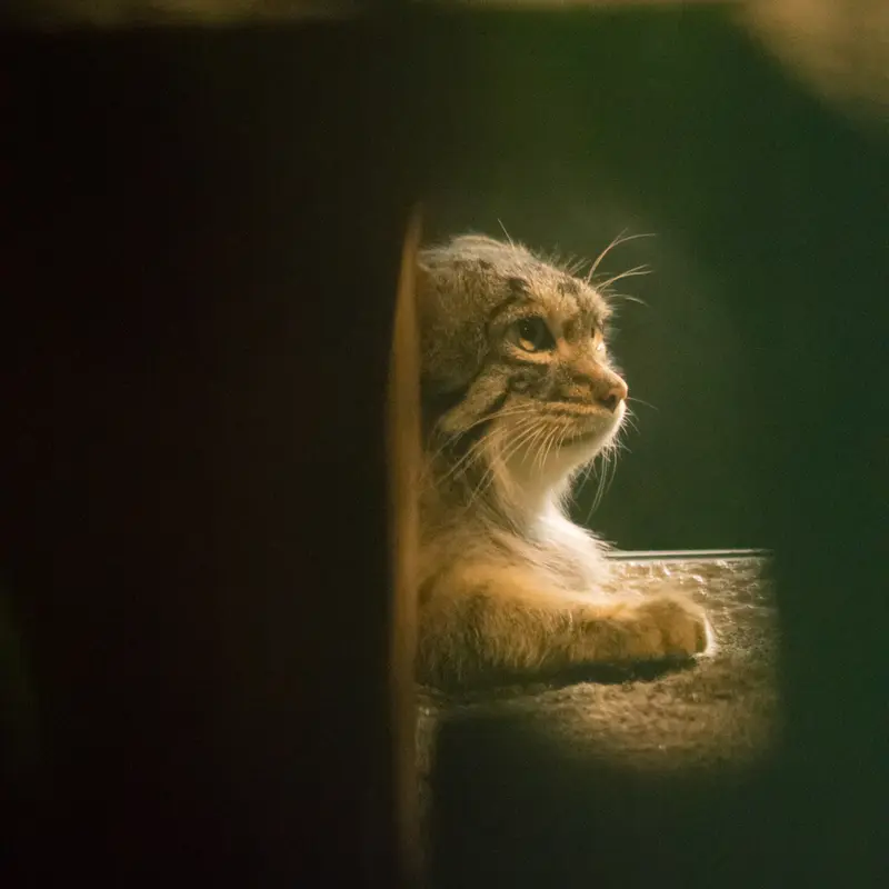 A photograph of Figa in Nogeyama Zoo