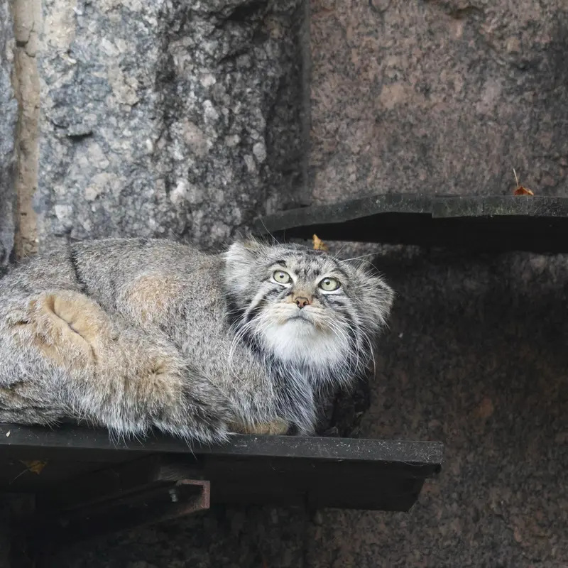 A photograph of Timofey in Moscow zoo