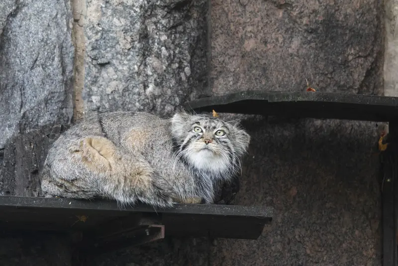 A photograph of Timofey in Moscow zoo