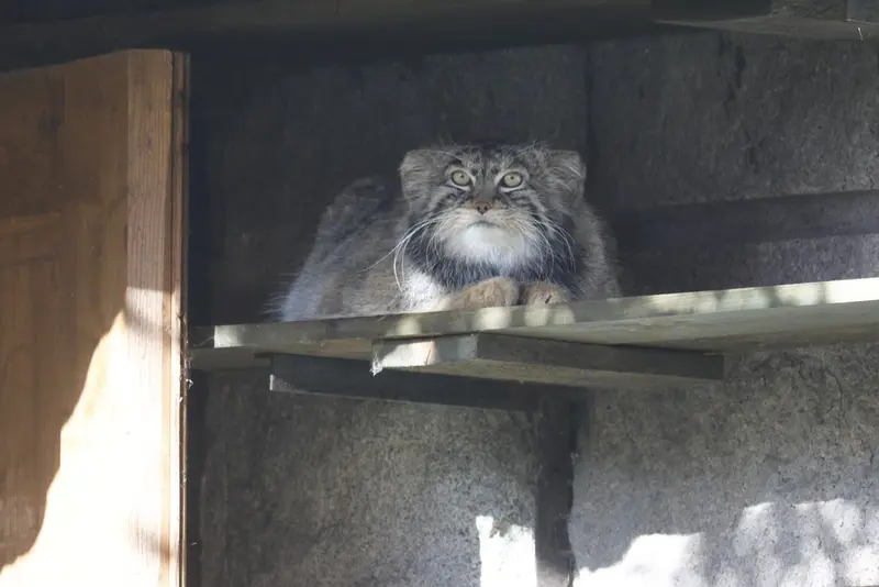 A photograph of Timofey in Moscow zoo