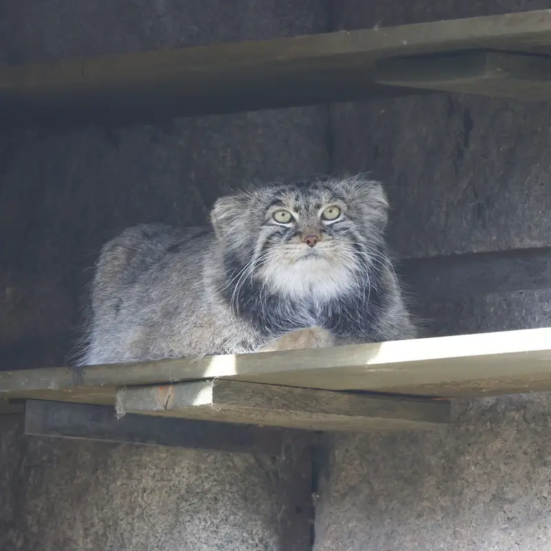 A photograph of Timofey in Moscow zoo