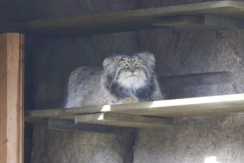 A photograph of Timofey in Moscow zoo