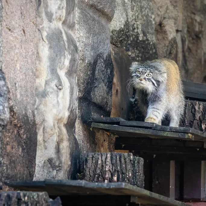 A photograph of Timofey in Moscow zoo