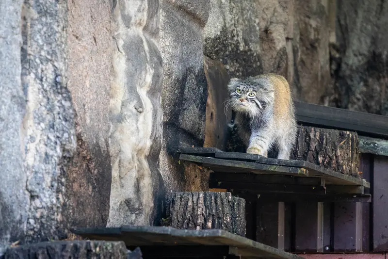 A photograph of Timofey in Moscow zoo