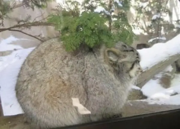 A meatball with parsley 🧆