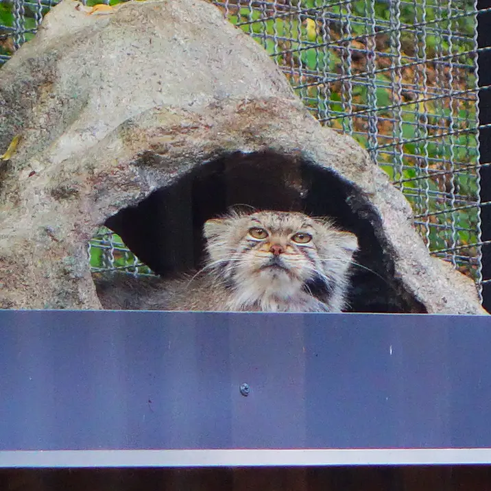 A photograph of Melissa in Lithuanian Zoo