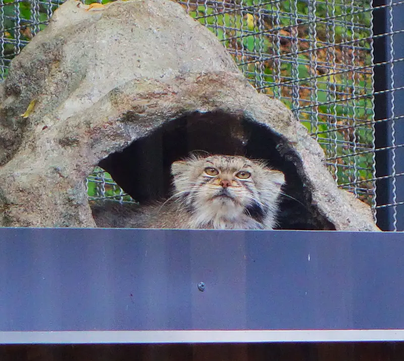 A photograph of Melissa in Lithuanian Zoo