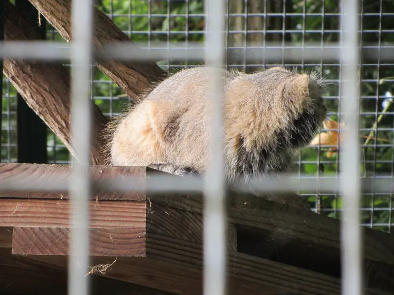 A photograph of Karl-Heinz in Saarbrücken Zoo