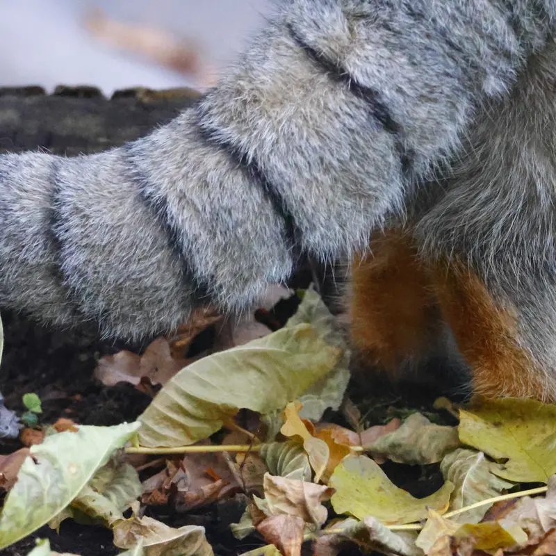 A photograph of Timofey in Moscow zoo