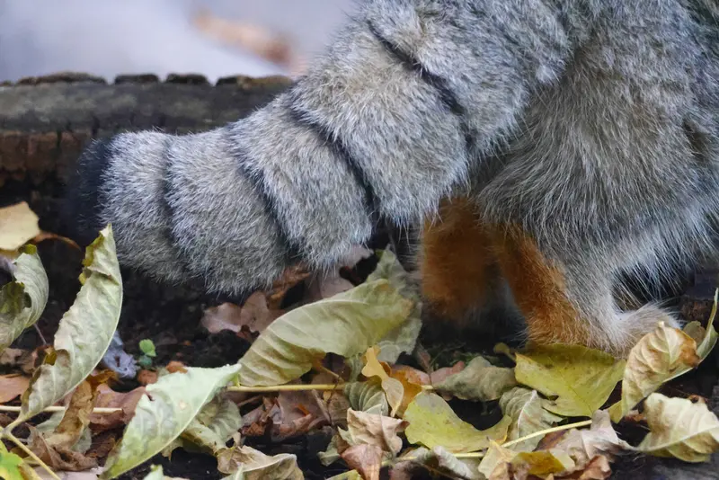 A photograph of Timofey in Moscow zoo