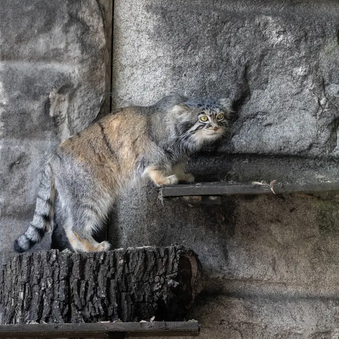 A photograph of Timofey in Moscow zoo