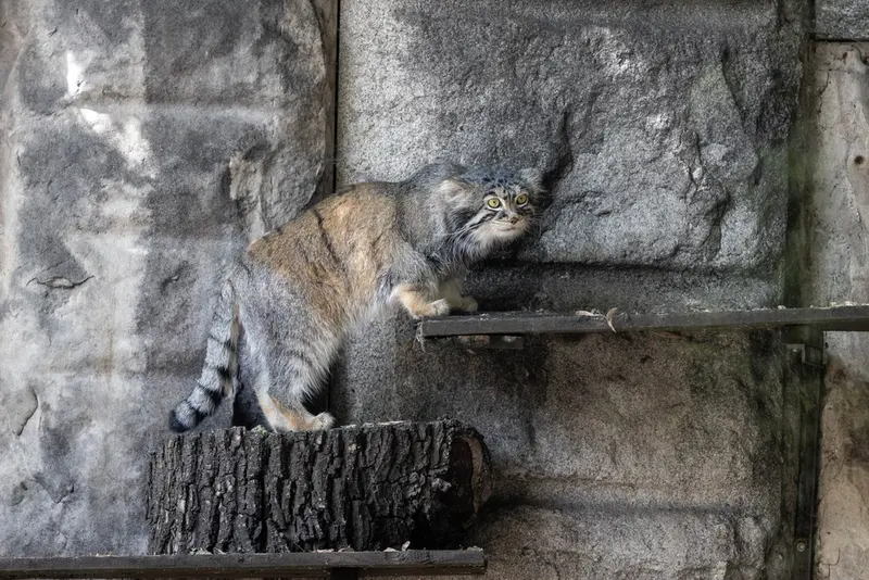 A photograph of Timofey in Moscow zoo