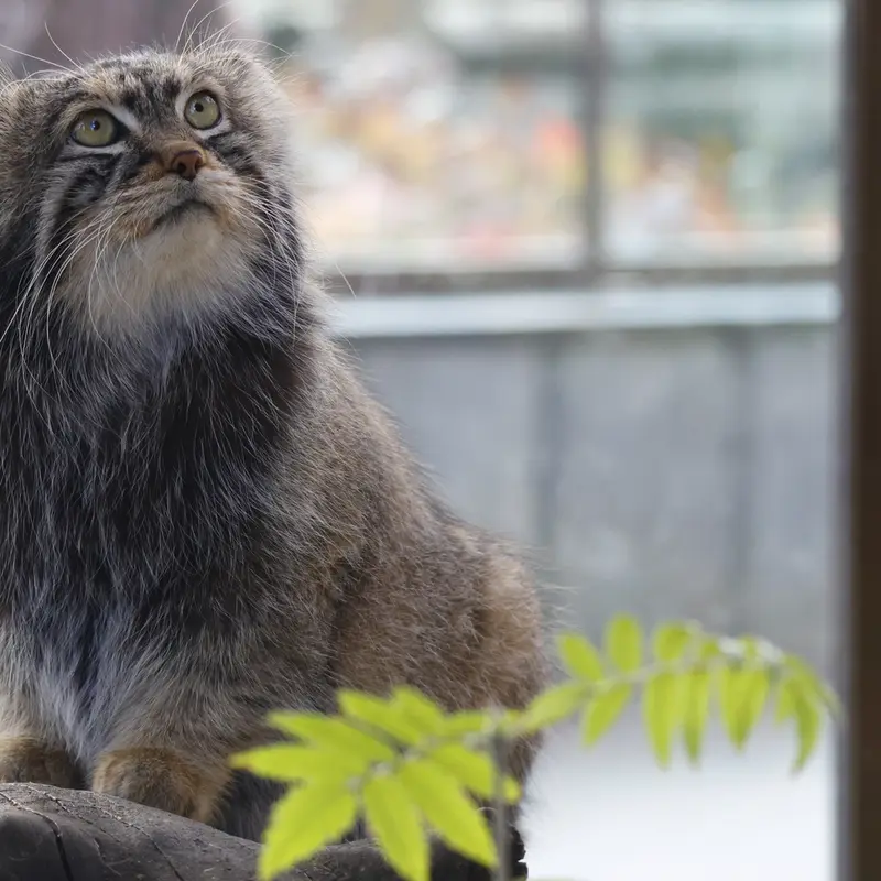 A photograph of Timofey in Moscow zoo