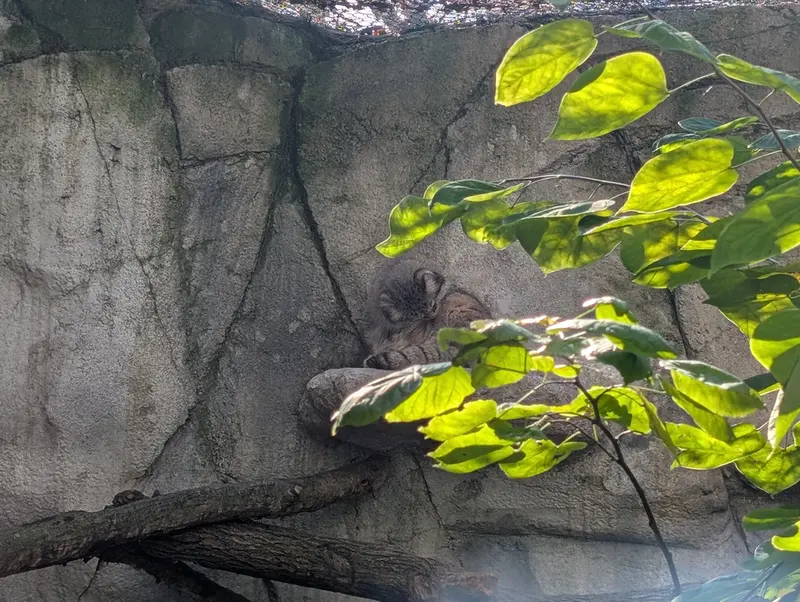 A photograph of Tiina in Columbus Zoo and Aquarium