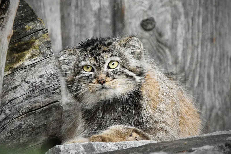 A photograph of Manuela in Tierpark Berlin