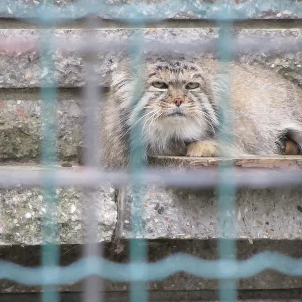 A photograph of Jonathan in Magdeburg Zoo