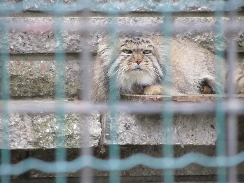 A photograph of Jonathan in Magdeburg Zoo