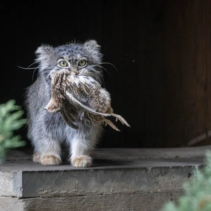 A photograph of Timofey in Moscow zoo
