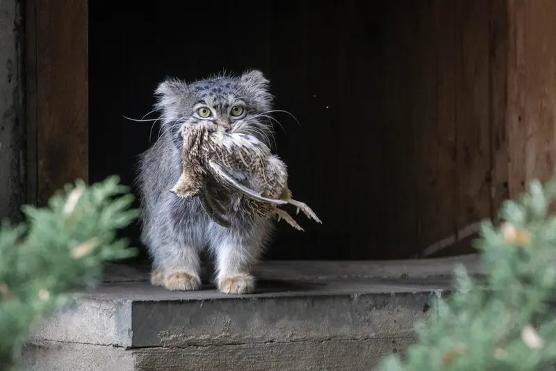 A photograph of Timofey in Moscow zoo