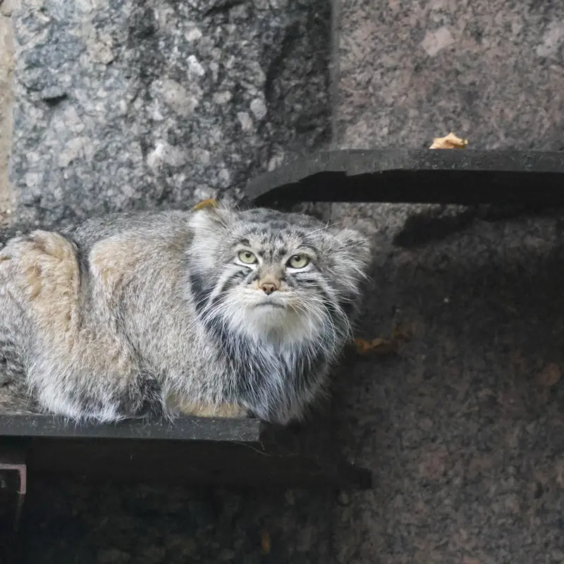 A photograph of Timofey in Moscow zoo