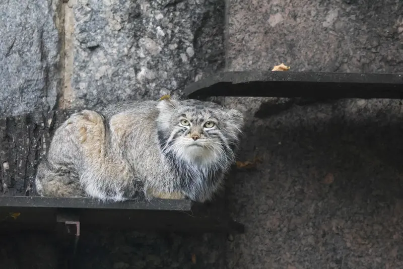 A photograph of Timofey in Moscow zoo