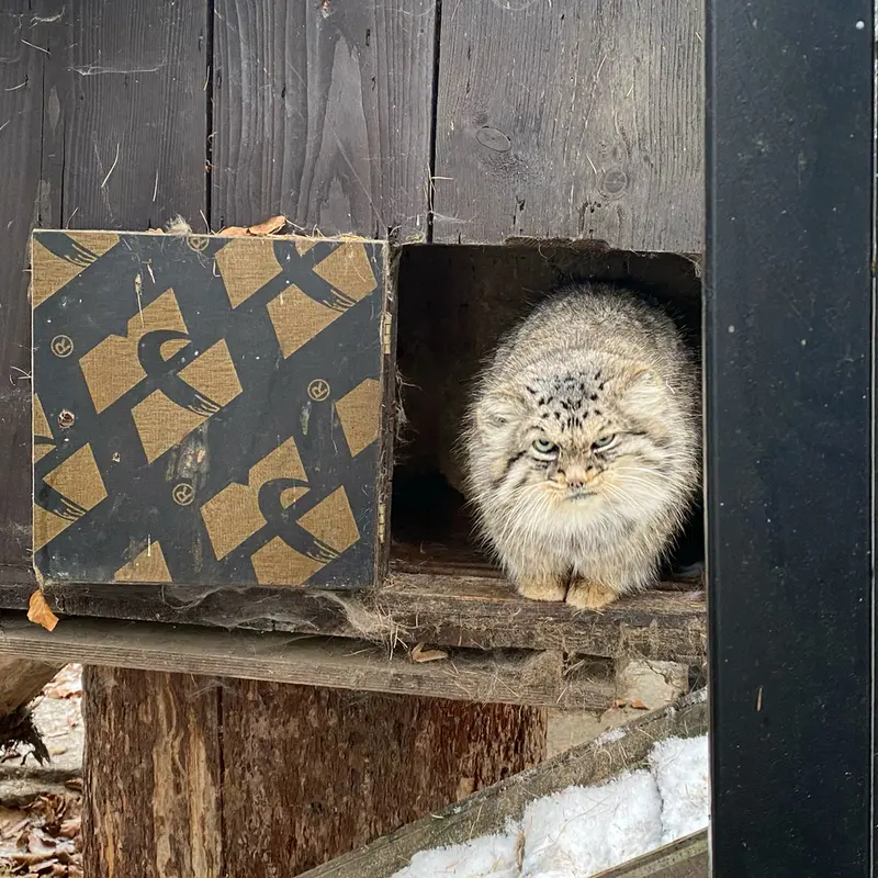 A photograph of Manuel in Kraków Zoo