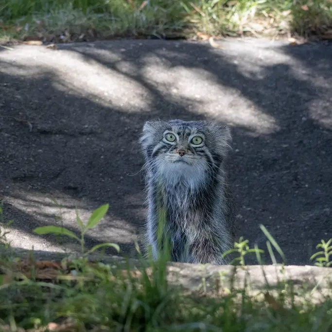 A photograph of Timofey in Moscow zoo