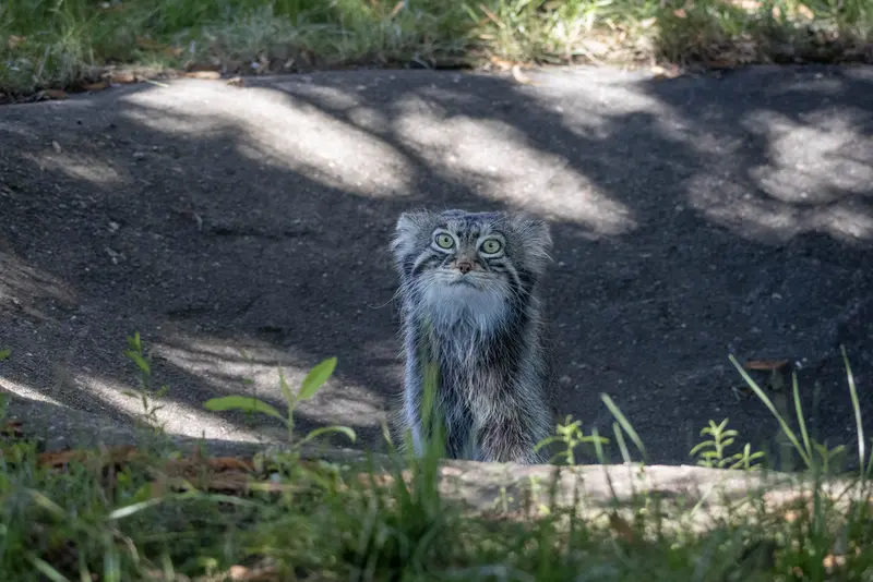A photograph of Timofey in Moscow zoo