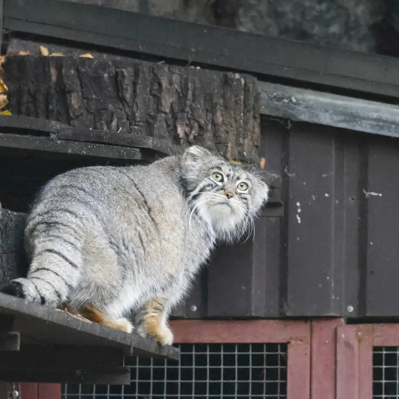A photograph of Timofey in Moscow zoo