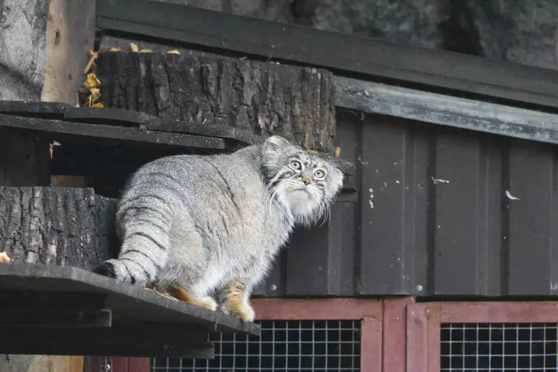 A photograph of Timofey in Moscow zoo