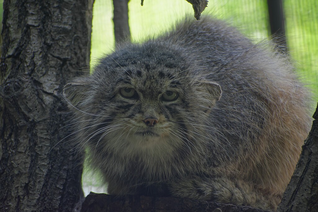 509380692_24055945870739400_5885475764759253627_n