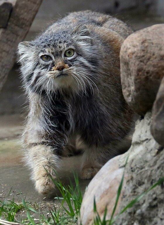 mR8HoGU5jFgJ51AWtw6Kxb2JkubRHdoJO6oSRgNz6v547Ute27Ww_CsgRvlbfCf3jV0kWYhy